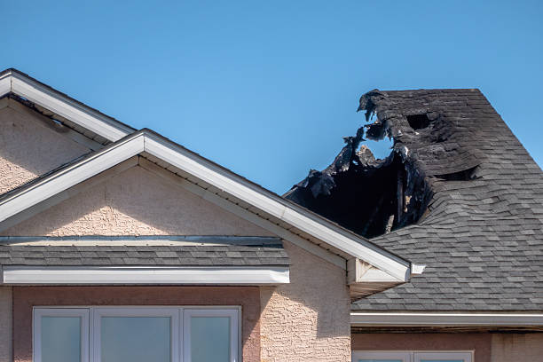 Top rated local Structural Rebuild specialists in Dunedin, FL